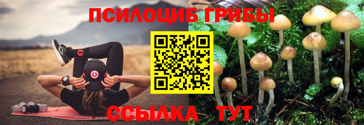 Галлюциногенные грибы Psilocybine cubensis Учалы